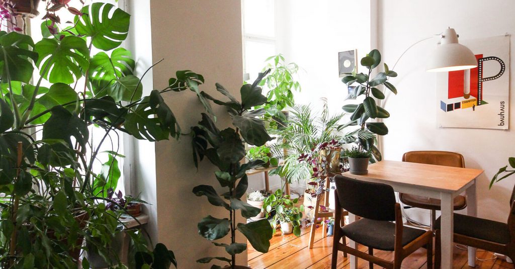 Decorar con plantas artificiales