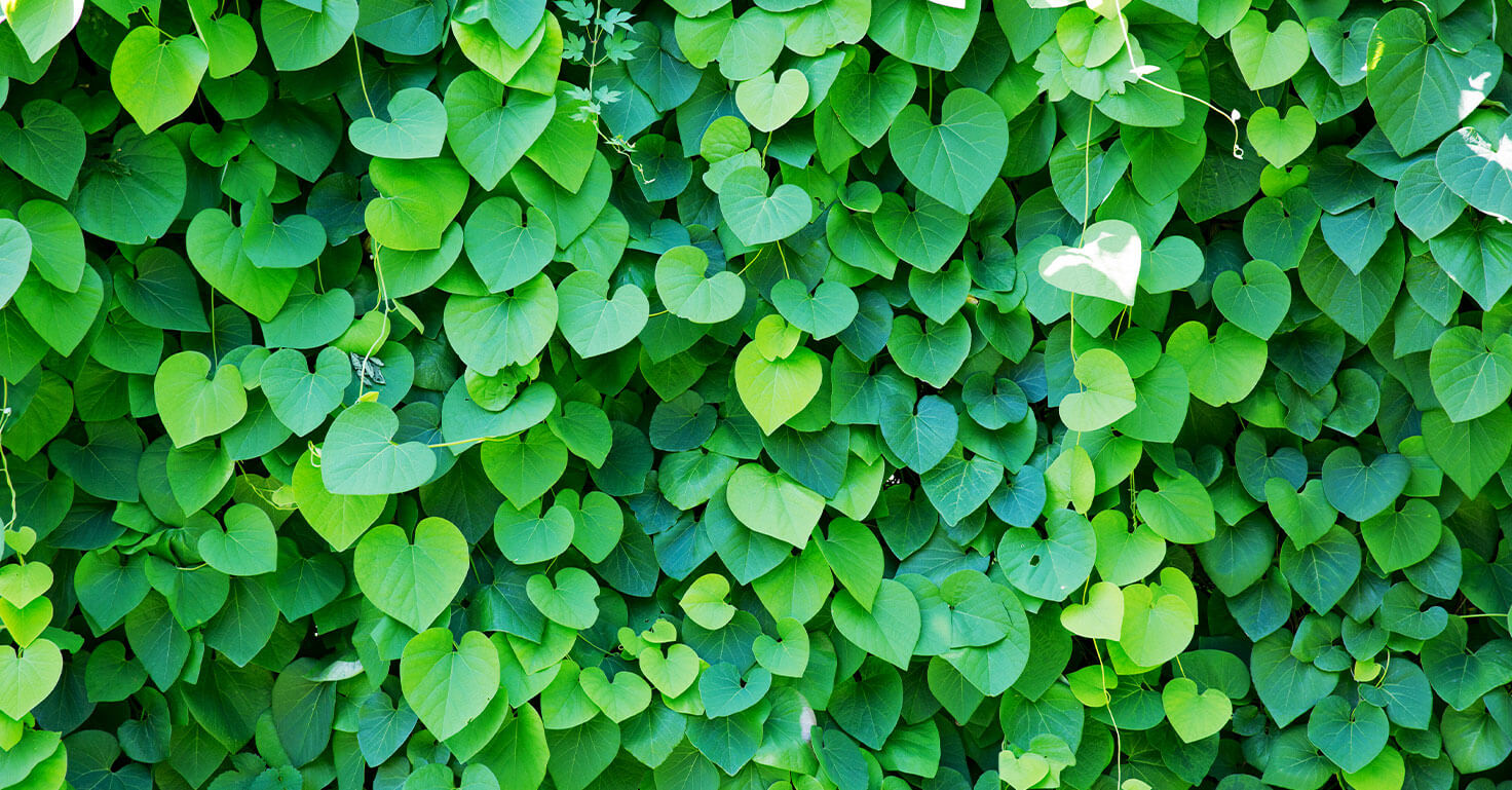 jardín vertical artificial