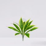 PLANTA DIFFEMBACHIA ATIFICIAL 50CM