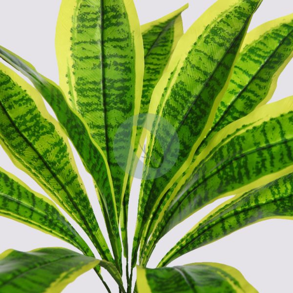 PLANTA DIFFEMBACHIA ATIFICIAL 50CM - Imagen 2