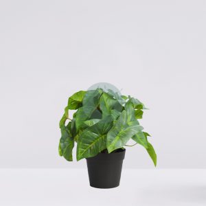 MACETA SINGONIO ARTIFICIAL 25CM