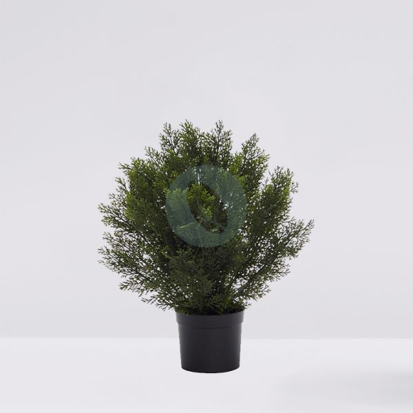 SETO TUYA ARTIFICIAL 60CM - Imagen 1