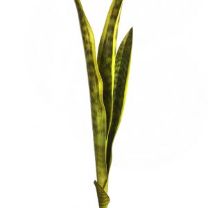 HOJAS SANSEVIERIA ARTIFICIAL 67CM