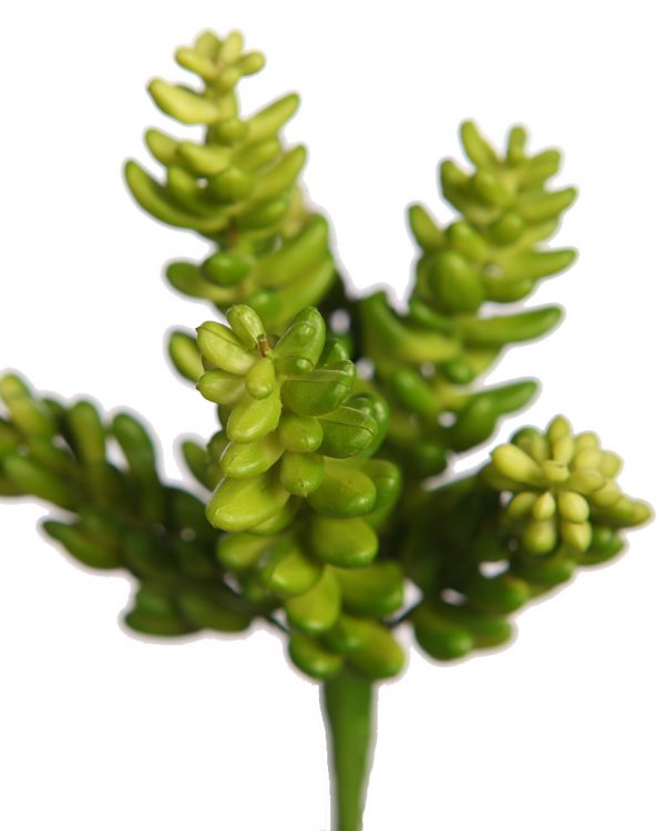 PLANTA CRASA ARTIFICIAL 14CM - Imagen 2