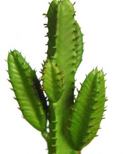 CACTUS SAN PEDRO MINI ARTIFICIAL 19CM - Imagen 2