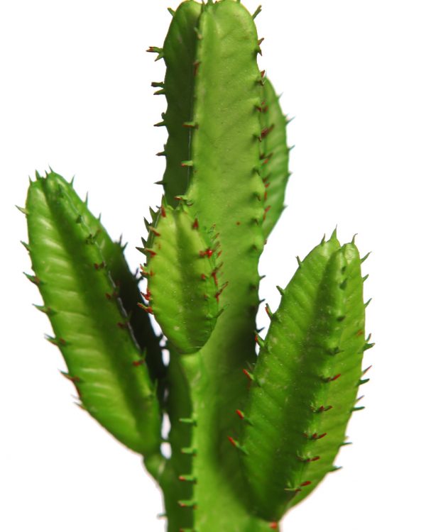 CACTUS SAN PEDRO MINI ARTIFICIAL 19CM - Imagen 2