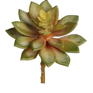 PLANTA CRASA ECHEVERIA ARTIFICIAL 13CM