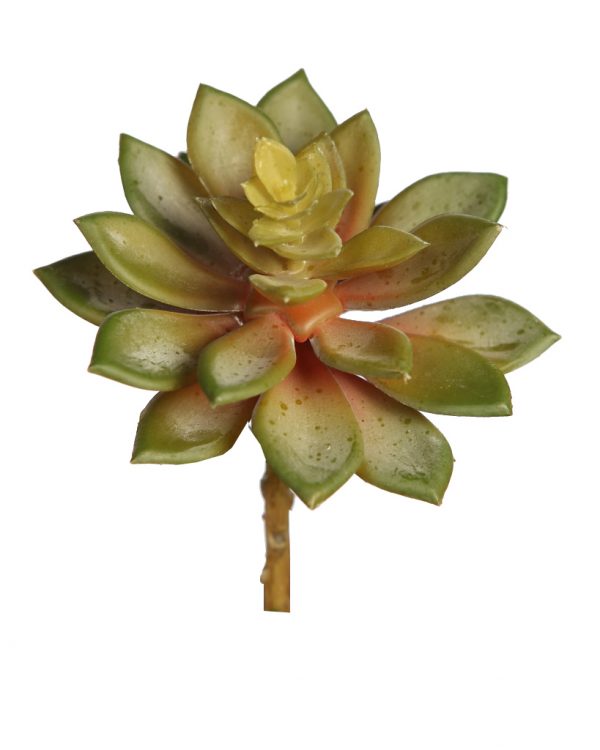 Y0633.03.jpg PLANTA CRASA ECHEVERIA ARTIFICIAL 13CM - Imagen 1