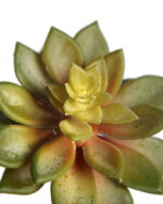 PLANTA CRASA ECHEVERIA ARTIFICIAL 13CM - Imagen 2
