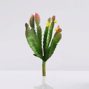cactus mini flor
