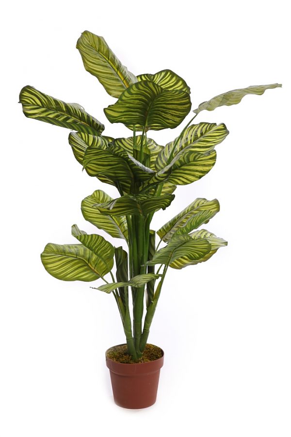 CALATHEA ARTIFICIAL EN MACETA 120CM - Imagen 1