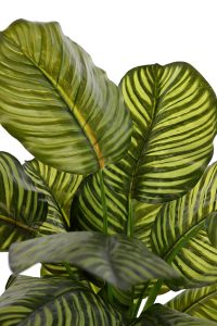 CALATHEA ARTIFICIAL EN MACETA 120CM - Imagen 2