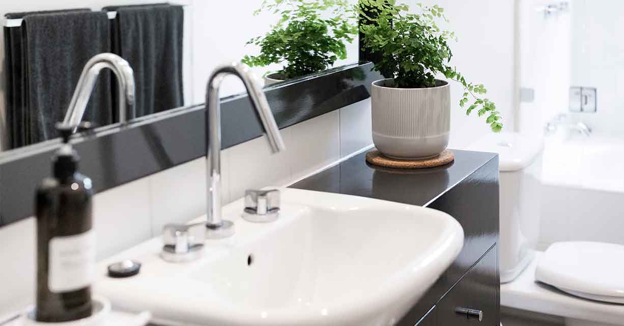 Plantas artificiales para baño