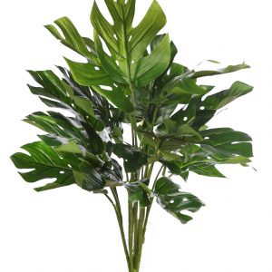 Planta monstera 45cm