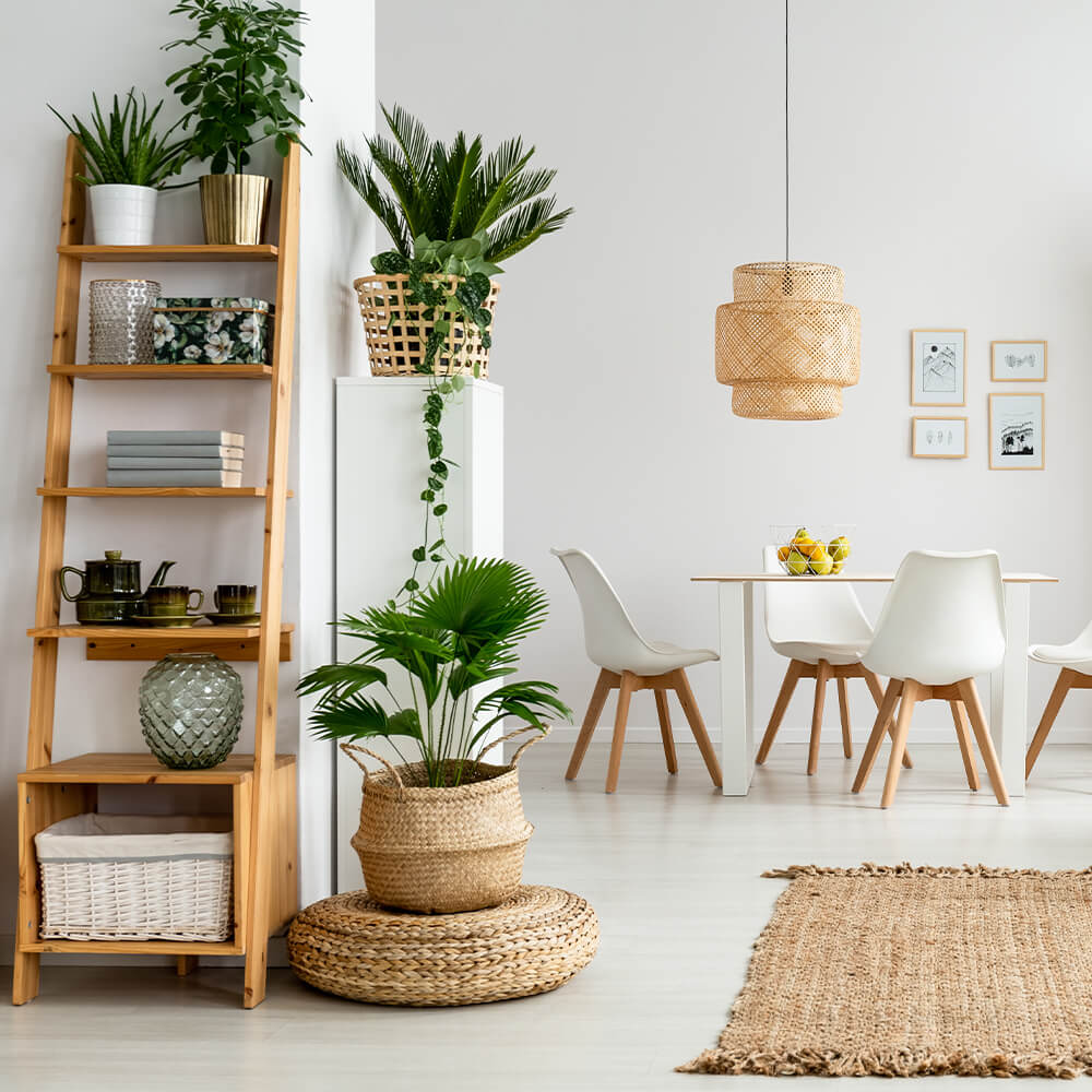 Plantas artificiales para hogar, Volplant.