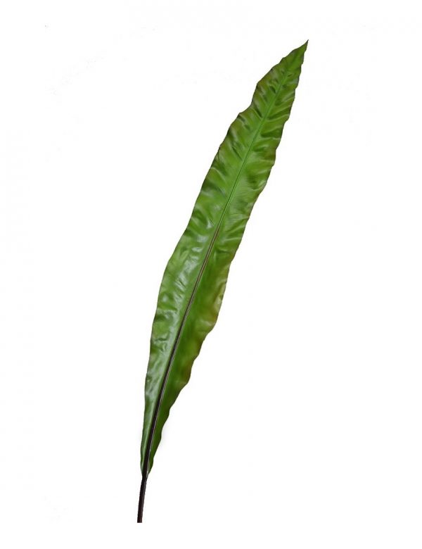 HOJA ASPIDISTRA ARTIFICIAL 105CM - Imagen 1