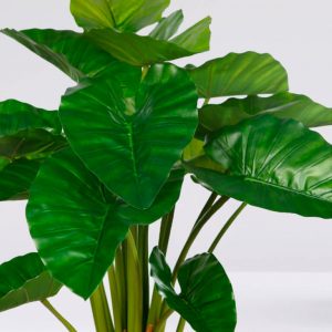 Planta Colocasia Artificial en Maceta 100cm