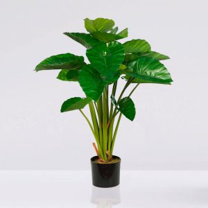 Planta Colocasia Artificial en Maceta 100cm