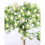 ATADO FLOR ARTIFICIAL 30CM - Imagen 2