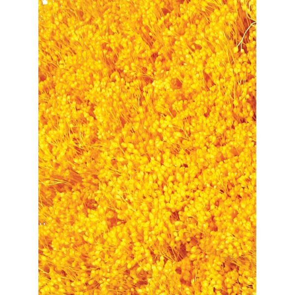 POMO BROOM 100 GR 50CM - Imagen 2