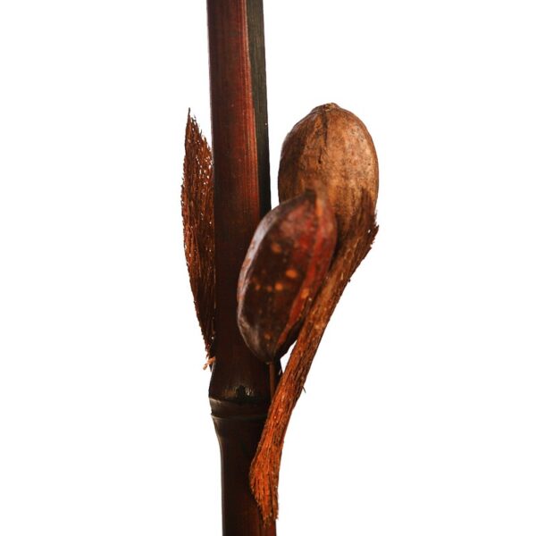 CAÑA DE BAMBU CON FRUTOS 200CM - Imagen 3