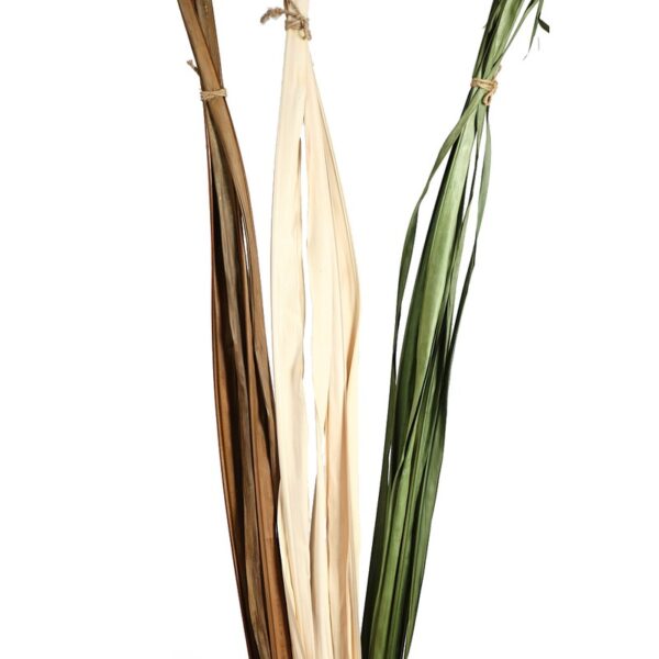 HOJAS DE BURI SECO 180CM - Imagen 2
