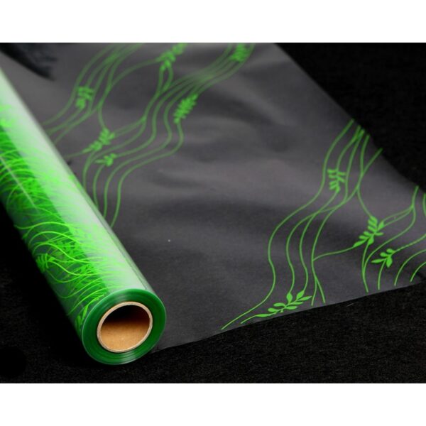 05.100028_0 ROLLO CELOFAN LIANA VERDE 80CM - Imagen 1