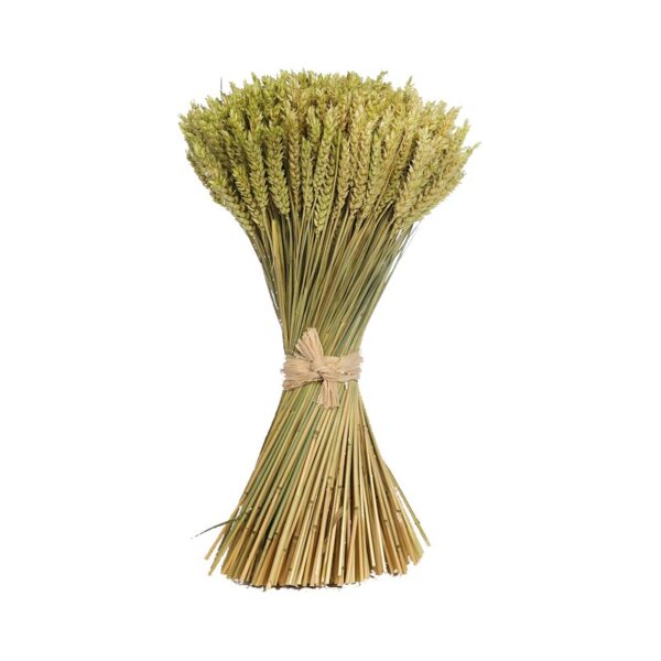 ATADO DE TRIGO PRESERVADO 46CM - Imagen 1
