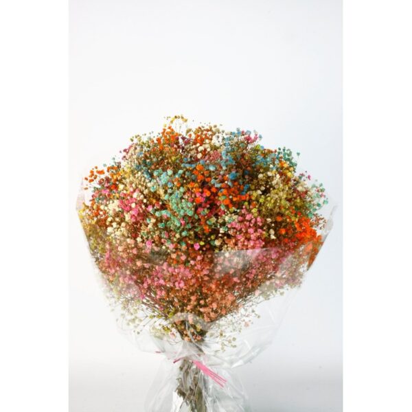 MAZO PANICULATA SURTIDA 30/50CM - Imagen 1