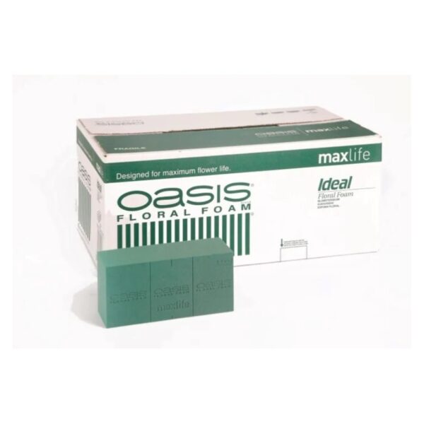 CAJA ESPONJA AGUA OASIS IDEAL 20 TACOS - Imagen 1