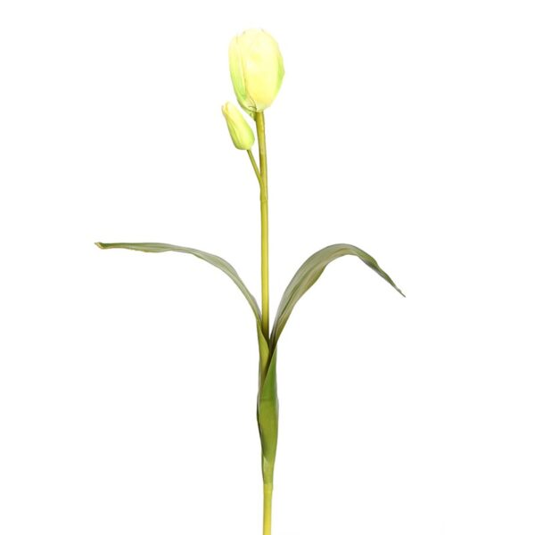 TULIPAN 60CM - Imagen 1