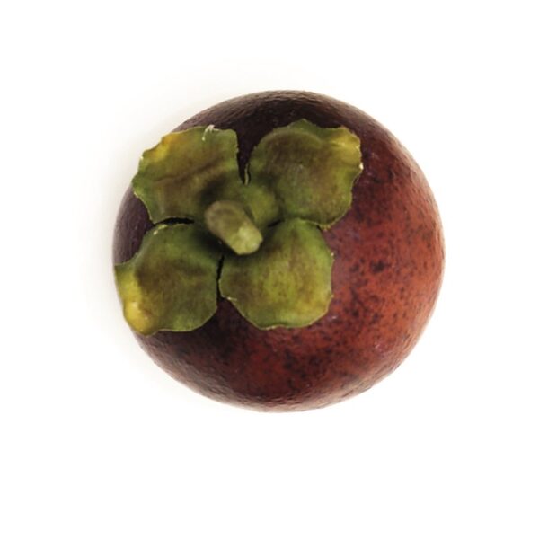 MANGOSTAN ARTIFICIA CAJA 12 UNIDADES - Imagen 1