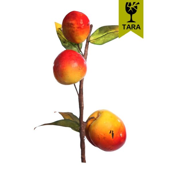 1076_0 VARA FRUTA MELOCOTON BRILLO - Imagen 1