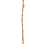 PUSSYWILLOW SAUCE-ENCARNADO - Imagen 2