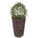 MACETERO PANDAN 84CM Ø 52CM - Imagen 2