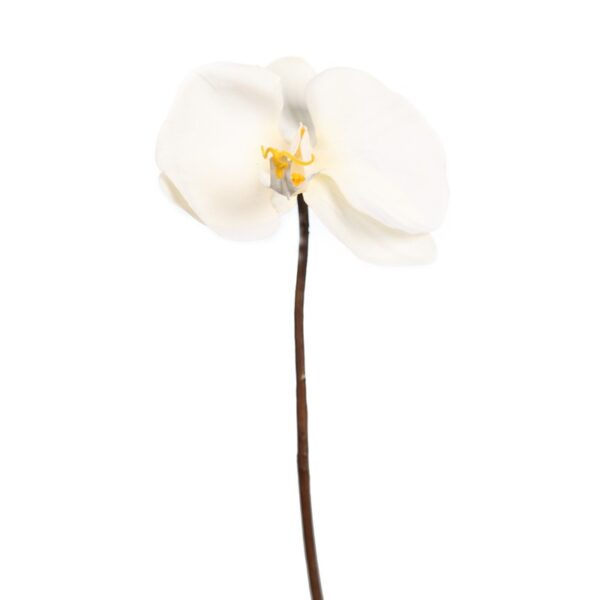 112.194_0 ORQUIDEA BLANCA 30CM - Imagen 1