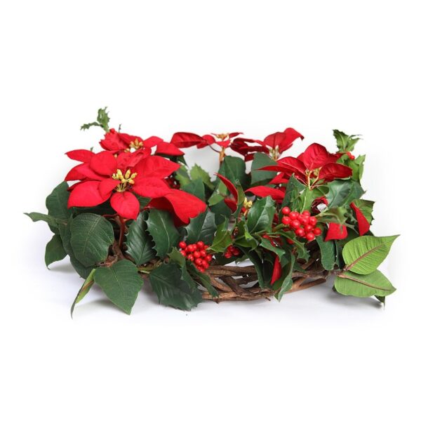 CORONA PONSETIA ACEBO Ø 60CM - Imagen 3