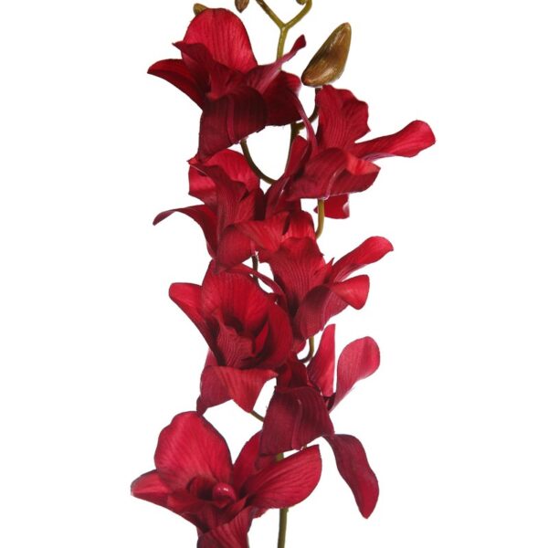VARA DE ORQUIDEA 74CM - Imagen 6