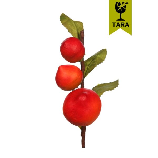 VARA DE FRUTA MELOCOTON - Imagen 1