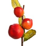 VARA DE FRUTA MELOCOTON - Imagen 2