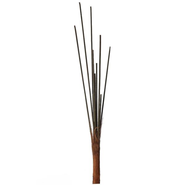 TRONCO CHAMADOREA 15 TALLOS - Imagen 1