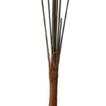 TRONCO CHAMADOREA 15 TALLOS - Imagen 2