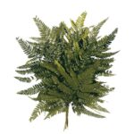 POMO HELECHO CUERO PRESERVADO 40CM - Imagen 3