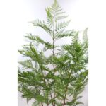 HELECHO ARTIFICIAL CON MACETA 155CM - Imagen 2