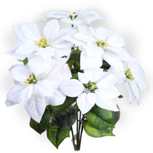 POINSETTIA PASCUERO X7 FLORES, 51 CM