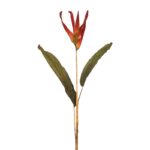 AVE DEL PARAISO VARA - Imagen 2