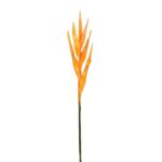 VARA CANNACEA LATEX, 80 CM - Imagen 2