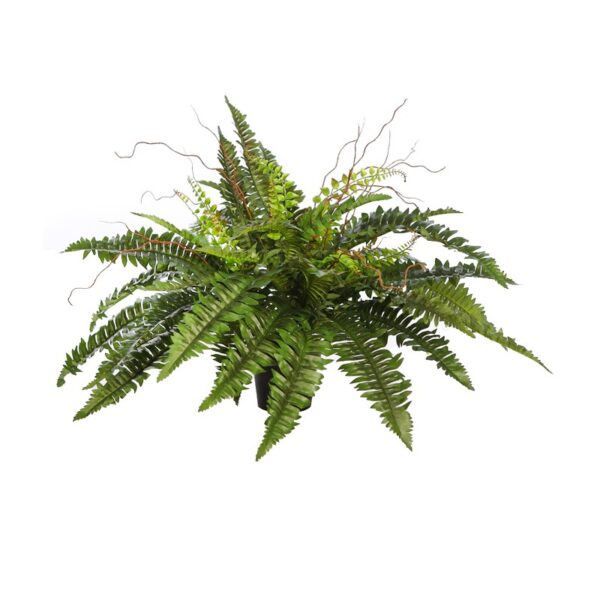 34808M_0 HELECHO CON BROTES EN MACETA Ø 84CM - Imagen 1