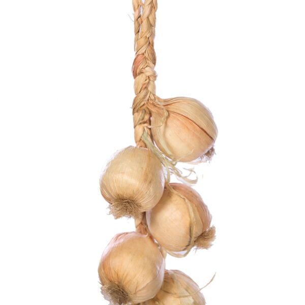 RISTRA DE CEBOLLAS 60CM - Imagen 2