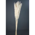 POMO PLUMA DECORATIVA 50/60CM